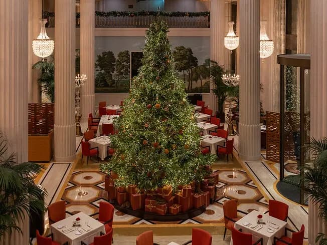 Decorated Nordmann Fir Christmas tree by Moyses Stevens