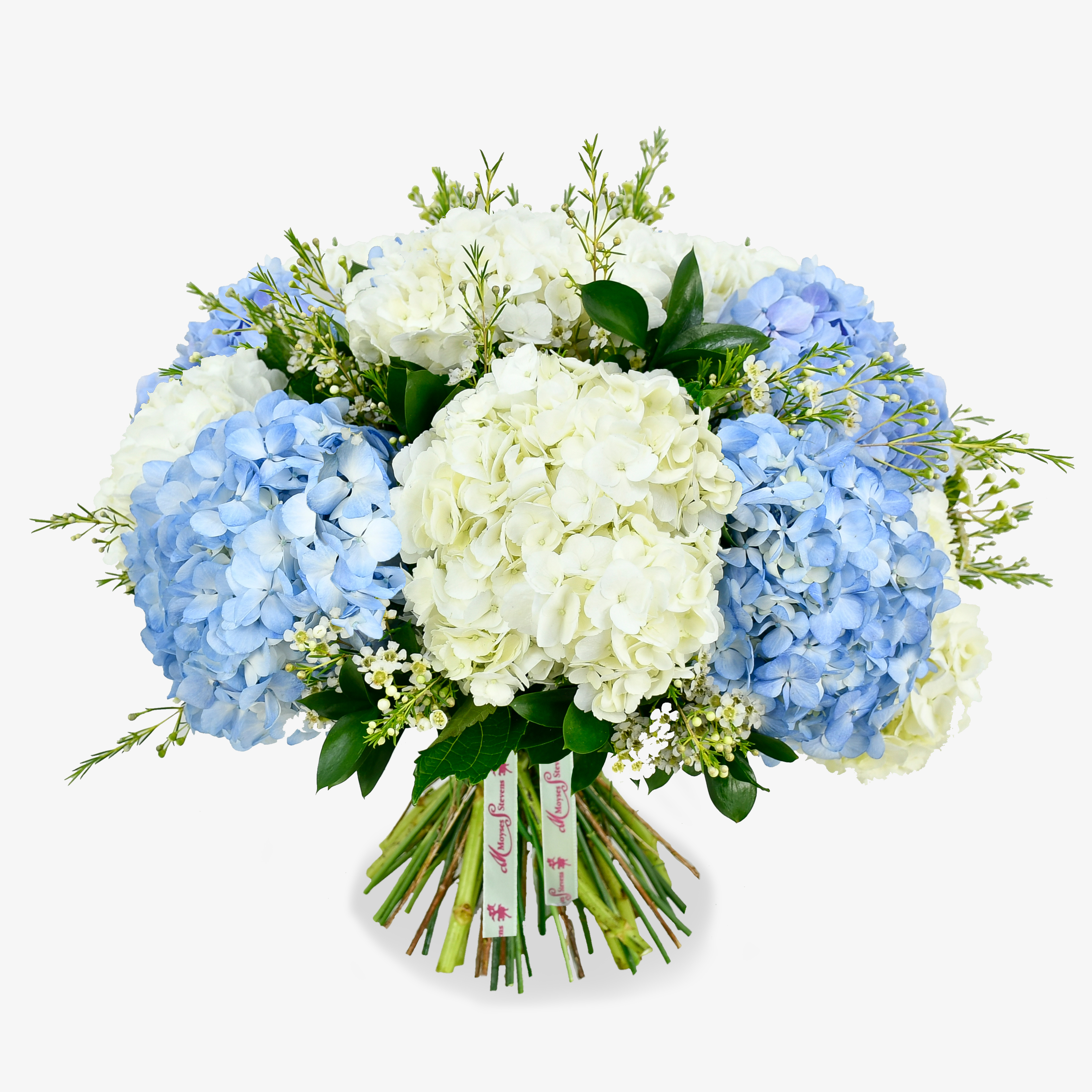 Hydrangea Delight image