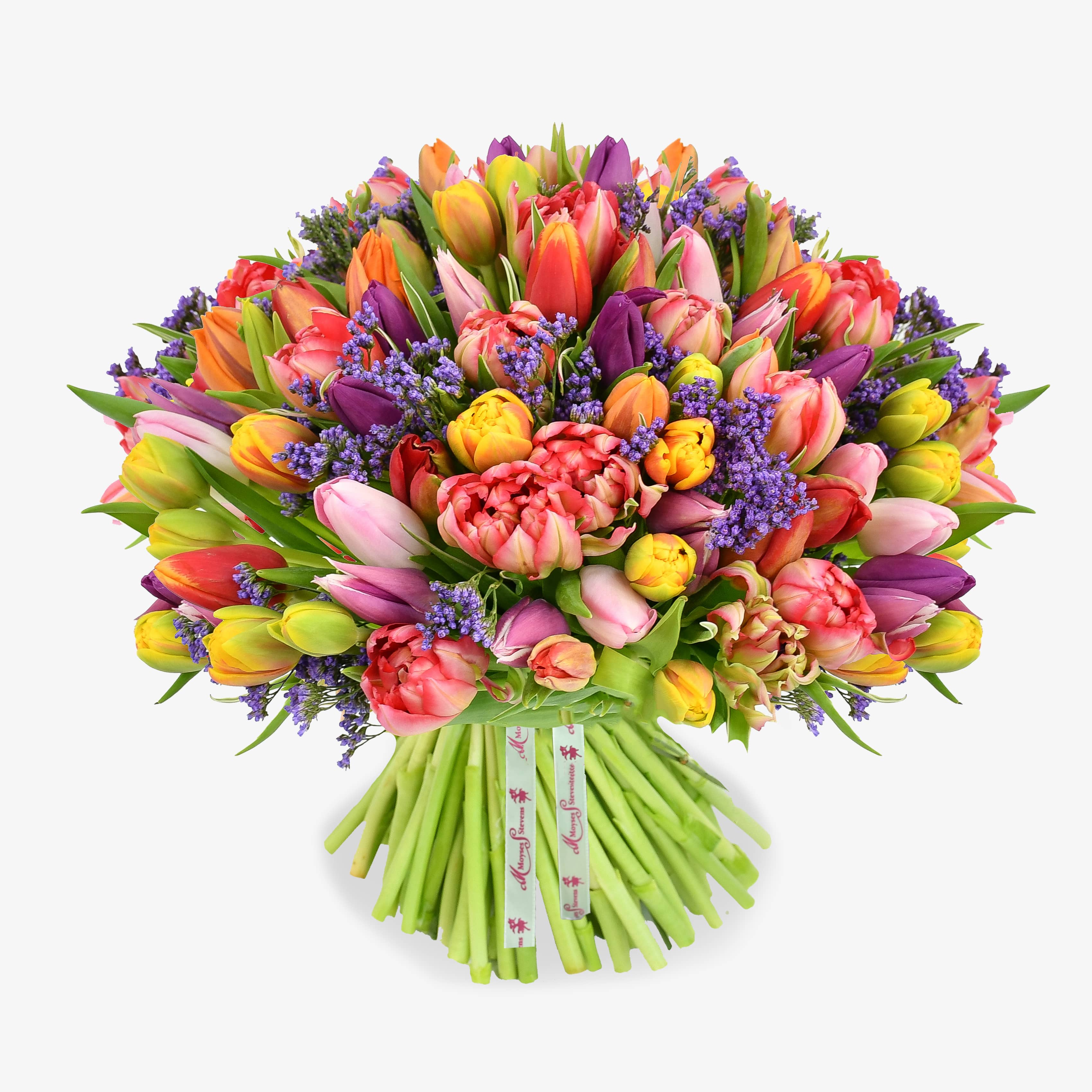 Tropical Tulips image